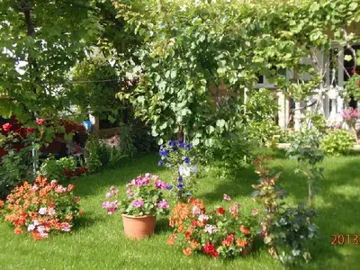 Bild 4