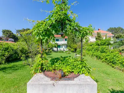 Ferienwohnung für 2 Personen (45 m²) in Lopar 9/10