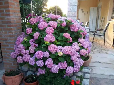 Ferienwohnung für 4 Personen (40 m²) in Lopar 6/10