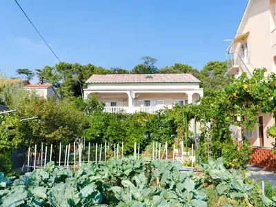 Ferienwohnung für 4 Personen (80 m²) in Lopar 7/10