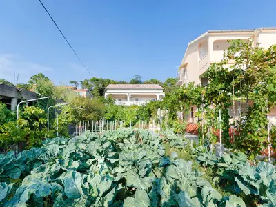Ferienwohnung für 4 Personen (80 m²) in Lopar 5/10