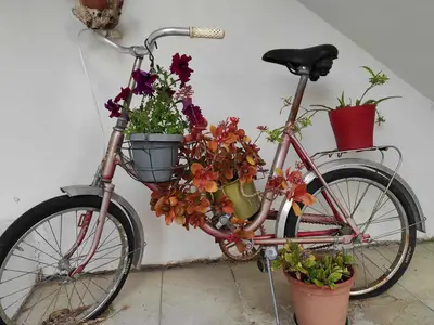 Ferienwohnung für 4 Personen (55 m²) in Lopar 8/10