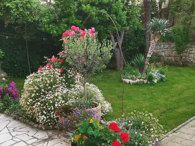 Bild 10