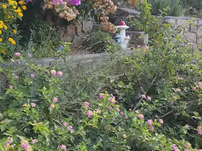 Ferienwohnung für 4 Personen (65 m²) in Lopar 4/10
