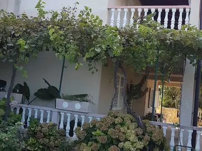 Ferienwohnung für 5 Personen (65 m²) in Lopar 7/10