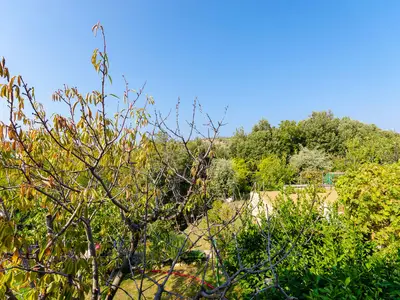 Ferienwohnung für 5 Personen (70 m²) in Lopar 7/10