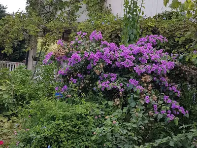 Ferienwohnung für 5 Personen (65 m²) in Lopar 6/10