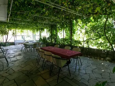 terrace