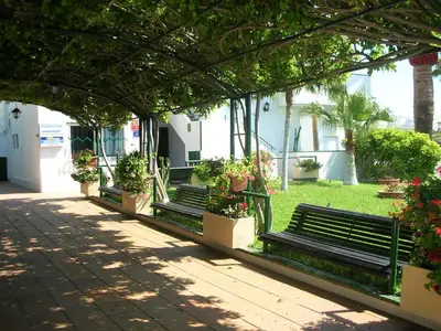 GardenSummer