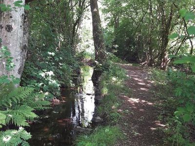 Waldweg 150 m vom Haus entfernt