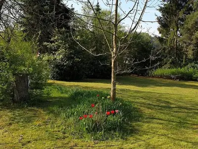 Ferienwohnung für 2 Personen (75 m²) in Losheim Am See 5/10