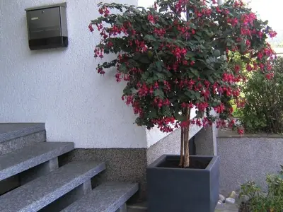 Ferienwohnung für 4 Personen (90 m²) in Losheim Am See 9/10