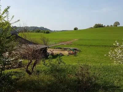 Ferienwohnung für 4 Personen (60 m²) in Losheim Am See 4/10