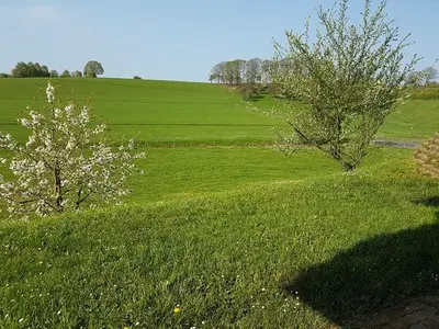 Ferienwohnung für 4 Personen (60 m²) in Losheim Am See 5/10
