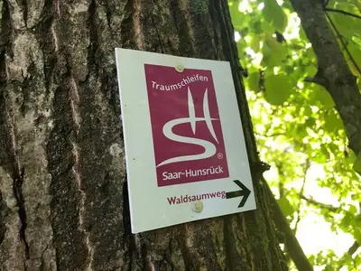 Ferienwohnung für 4 Personen (72 m²) in Losheim Am See 4/10