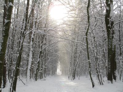 Winterspaziergang