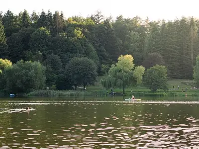 Ferienwohnung für 4 Personen (35 m²) in Losheim Am See 2/10