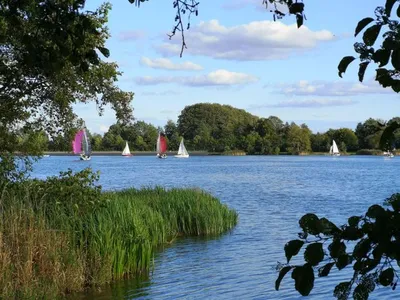 Ferienwohnung für 4 Personen (35 m²) in Losheim Am See 6/10