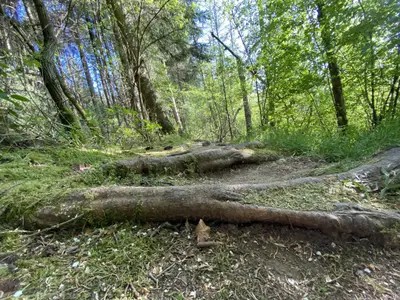 Georgi Panoramaweg