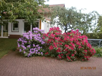 P5221275