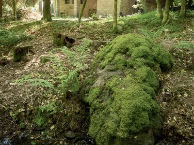 umgebung