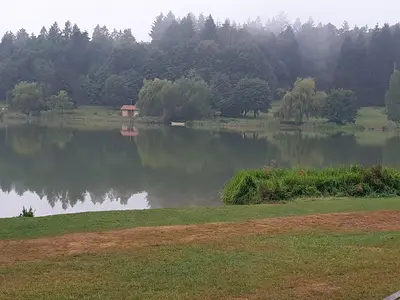 20250828_074205