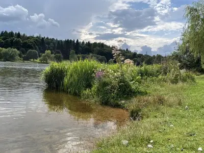 Ferienwohnung für 4 Personen (55 m²) in Losheim Am See 3/10