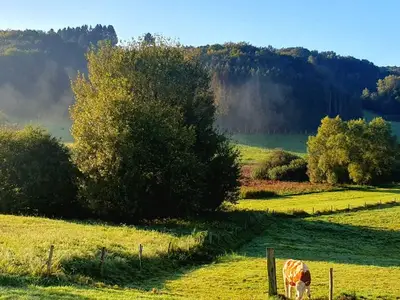 Ferienwohnung für 5 Personen (100 m²) in Losheim Am See 8/10