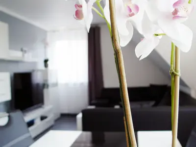 Ferienwohnung für 2 Personen (54 m²) in Lotte 2/10