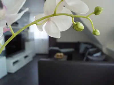 Ferienwohnung für 2 Personen (54 m²) in Osnabrück 1/10