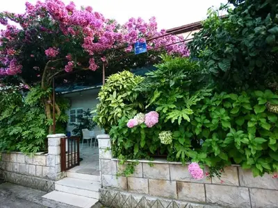 Ferienwohnung für 3 Personen in Lovište 1/10