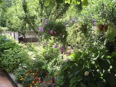 Ferienwohnung für 3 Personen (40 m²) in Lovran 2/10