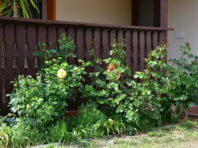 Ferienwohnung für 2 Personen (50 m²) in Lübben (Spreewald) 3/10