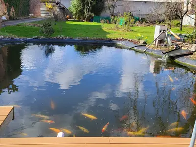 Ferienwohnung für 2 Personen (45 m²) in Lübbenau/Spreewald 9/10