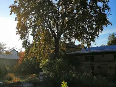 Ferienwohnung für 2 Personen (45 m²) in Lübbenau/Spreewald 10/10