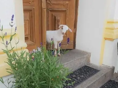 Ferienwohnung für 2 Personen (22 m²) in Lübbenau/Spreewald 3/10