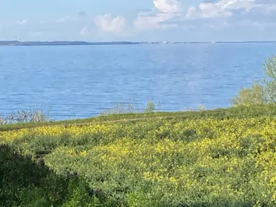 Ferienwohnung für 4 Personen (50 m²) in Lübeck 1/10