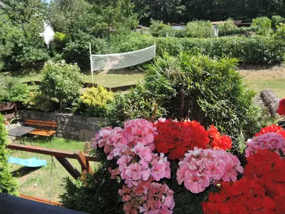 ViewSummer