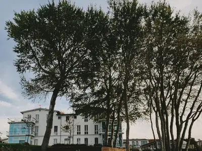 Ferienwohnung für 4 Personen (135 m²) in Lubmin (Seebad) 2/10