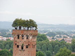 23845395-Ferienwohnung-4-Lucca-300x225-5