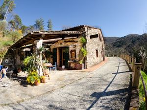 Ferienwohnung für 4 Personen (50 m&sup2;) in Lucca