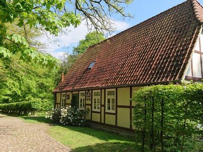 Ferienwohnung für 1 Person (27 m²) in Lüdersburg 2/7