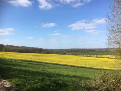 Blick über die Felder