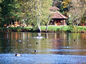 Ferienwohnung für 2 Personen (39 m&sup2;) in Ludwigswinkel