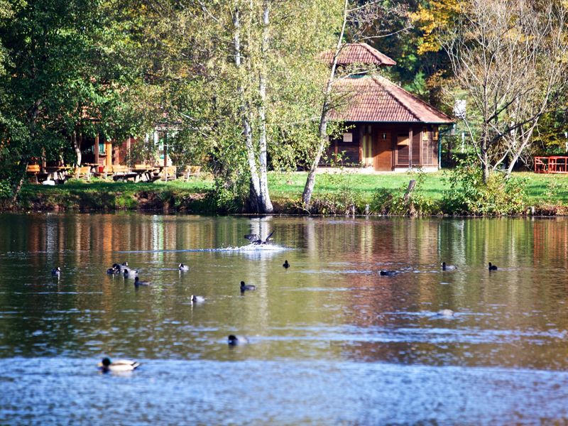 22332813-Ferienwohnung-2-Ludwigswinkel-800x600-0