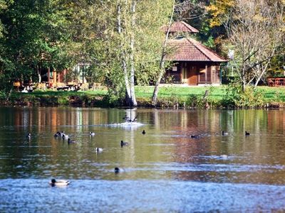 Ferienwohnung für 2 Personen (39 m²) in Ludwigswinkel 2/10