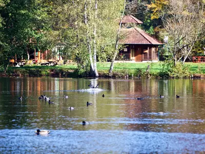 Ferienwohnung für 2 Personen (39 m²) in Ludwigswinkel 1/10