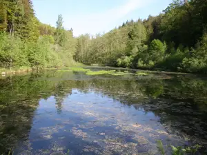 Ferienwohnung für 2 Personen (39 m²) in Ludwigswinkel