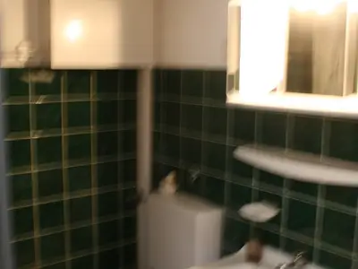 Ferienwohnung für 2 Personen (53 m²) in Ludwigswinkel 9/10