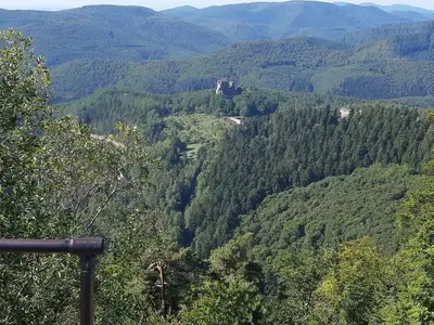 Ferienwohnung für 2 Personen (39 m²) in Ludwigswinkel 2/10